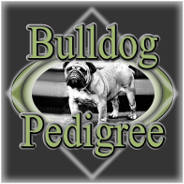 bulldog_pedigree